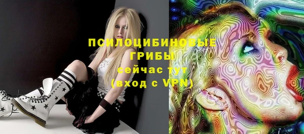 винт Шадринск