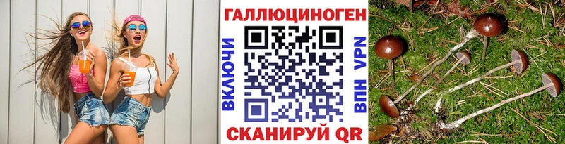 купить  цена  Пласт  Псилоцибиновые грибы прущие грибы 